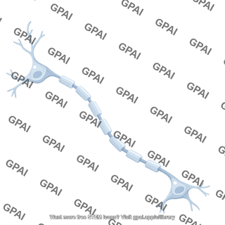 Cell process brush 782