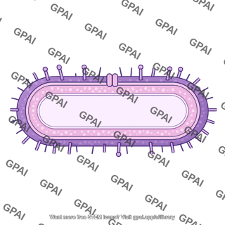 Bacteria membrane brush gram positive bacillus