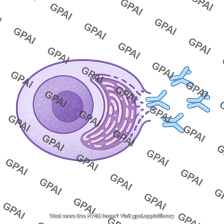 Plasma cell secreting 108