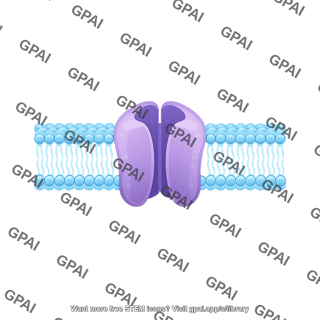 Ion channel in membrane brush preset