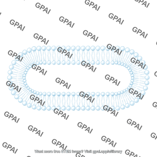 Phospholipid bilayer brush pill shape 434