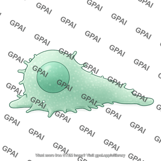 T cell crawling 01