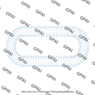 Phospholipid bilayer brush rounded rectangle 72