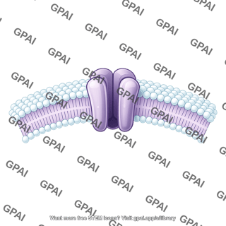 Ion channel in membrane brush wavy