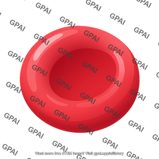 Red blood cell 3 01