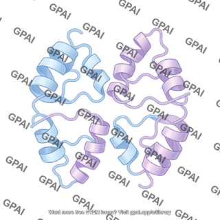 Glyceraldehyde 3 phosphate dehydrogenase