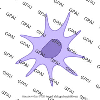 Dendritic cell plasmacytoid 01