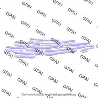 Smooth endoplasmic reticulum brush straight 01