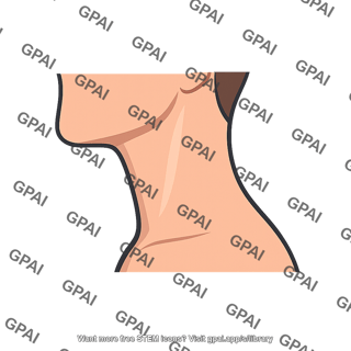 Neck