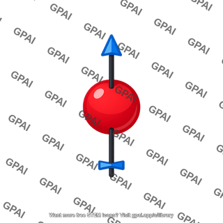 Proton spin magnetic dipole