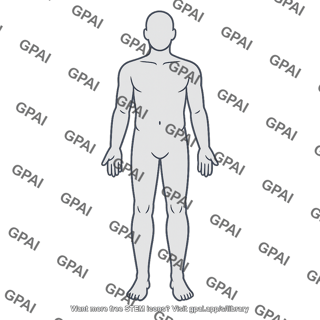Human body