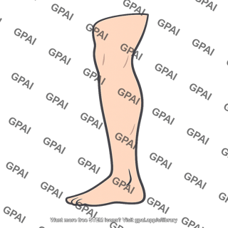 Lower leg