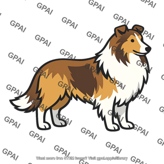 Collie
