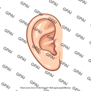 Left ear
