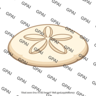 Sand dollar