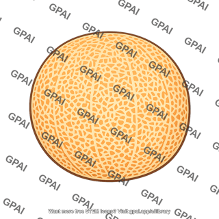 Cantaloupe