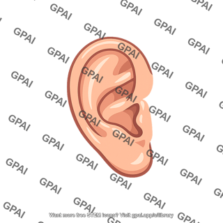 Listener ear