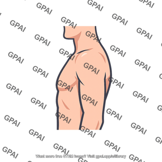 Human upper torso side view