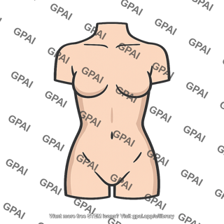 Torso