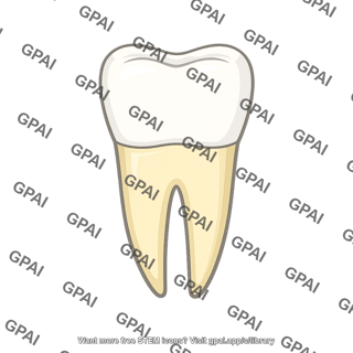 Tooth
