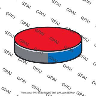 Disk shaped magnet