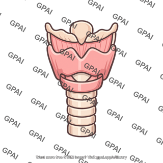 Larynx