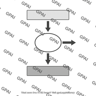 Carnot engine schematic