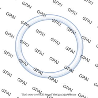 Plastic ring