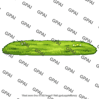 Grass patch