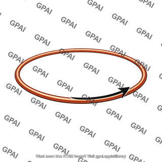 Current carrying circular loop