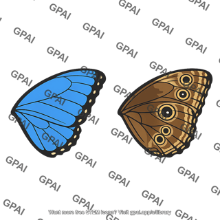 Morpho butterfly wing