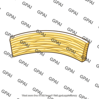 Ligamentum flavum