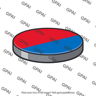 Disk magnet