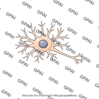 Interneuron