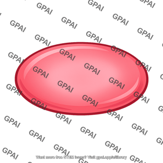 Pernicious anemia red blood cell
