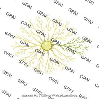 Amacrine cell directionally sensitive