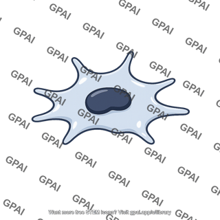 Histiocyte
