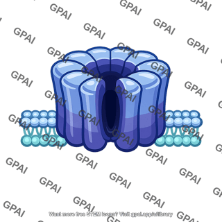 Cell membrane pore protein