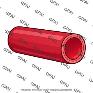 Artery large