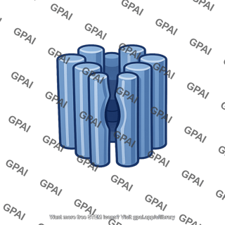 Transmembrane protein channel