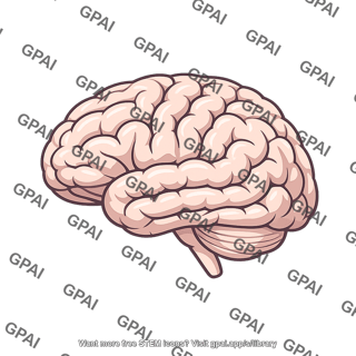 Right cerebral hemisphere