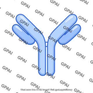 Antibody molecule