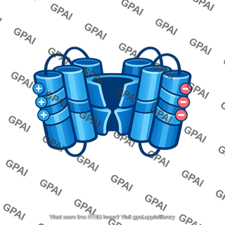 Protein channel voltage gated