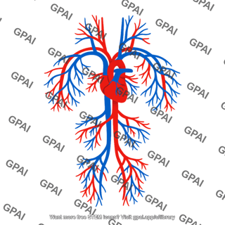 Vascular system