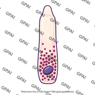 Enteroendocrine cell