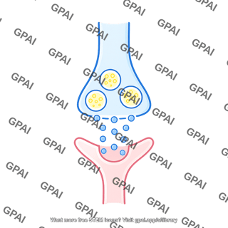 Synaptic cleft presynaptic membrane with vesicles