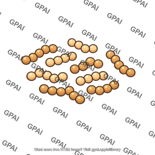 Protein digestion product