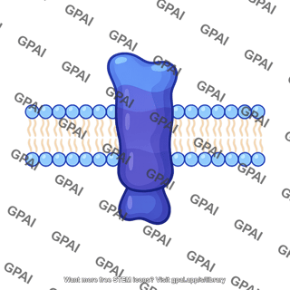 Integral membrane protein