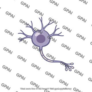 Local neuron