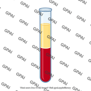 Hematocrit tube normal